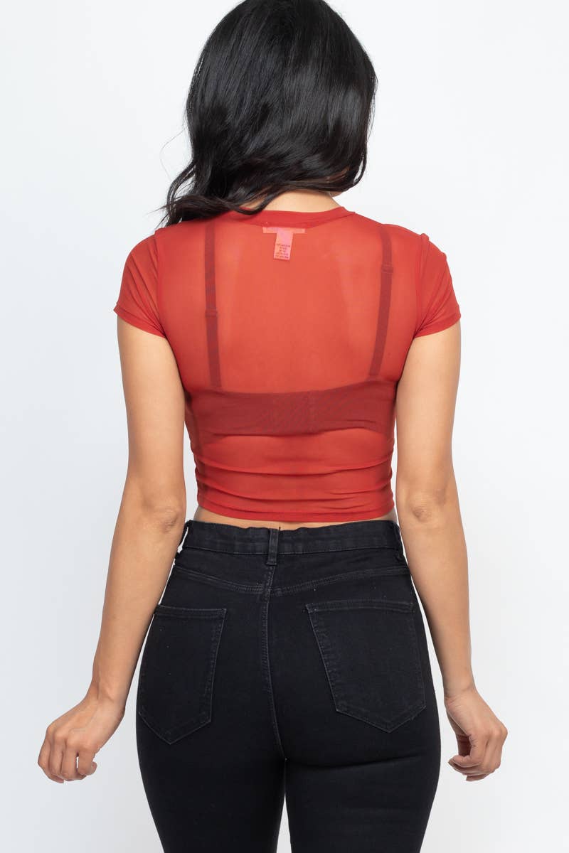 Mesh Sheer Crop Top: Black /