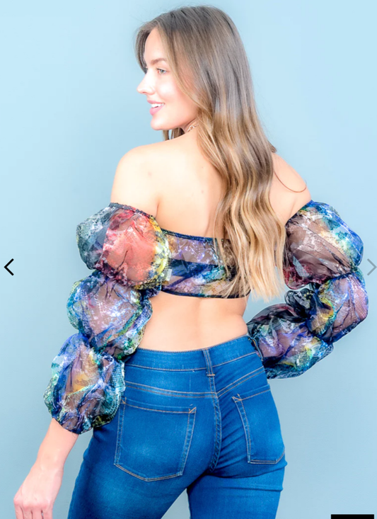 crop top blouse Long sleeve metallic color