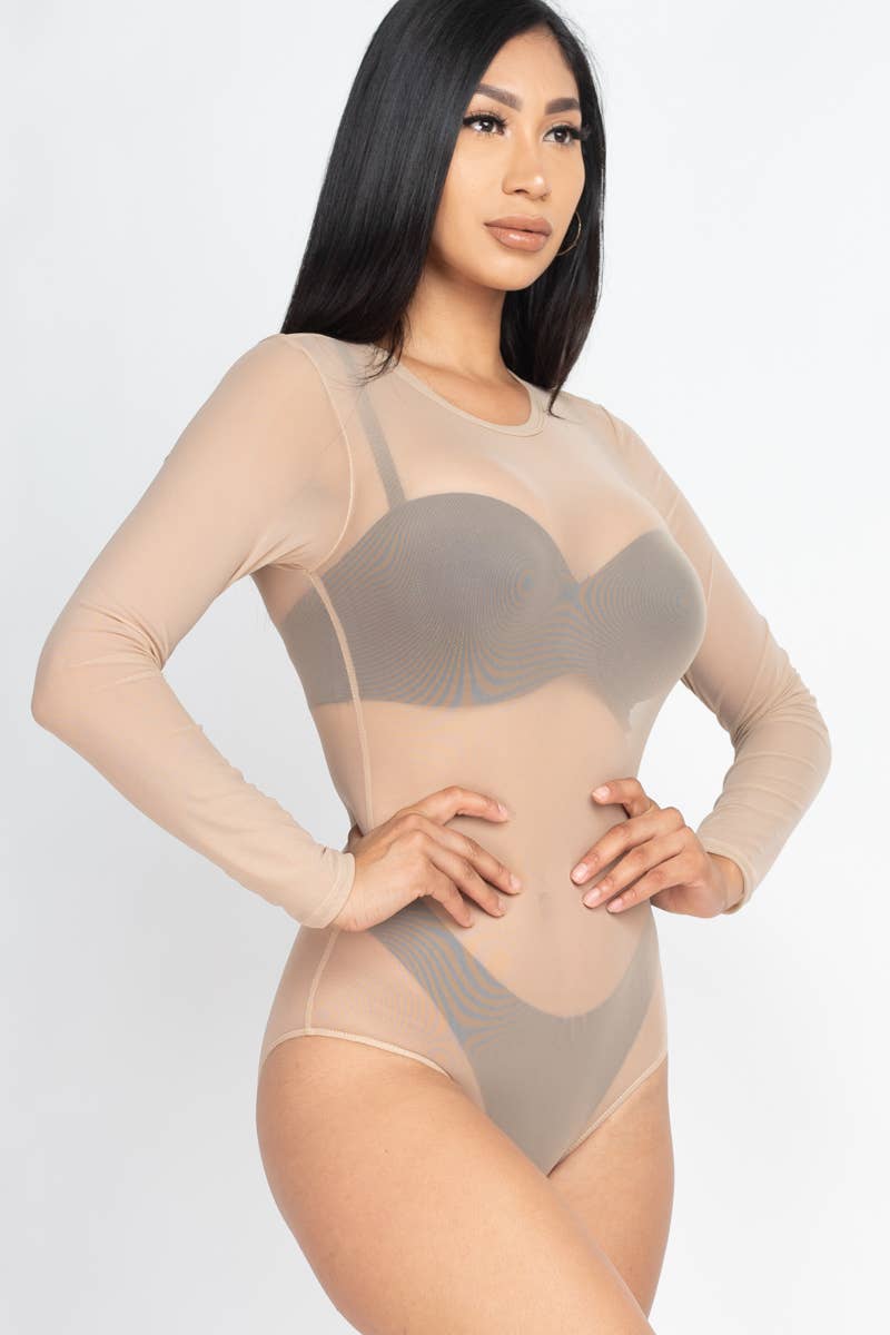 Mesh Sheer Long Sleeves Bodysuit: Black / S