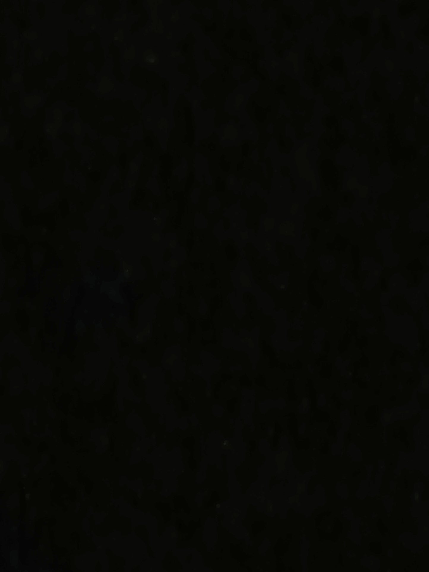 Plain black palace trousers